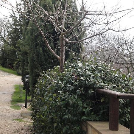 Отель Agriturismo Le Valli Acuto Экстерьер фото