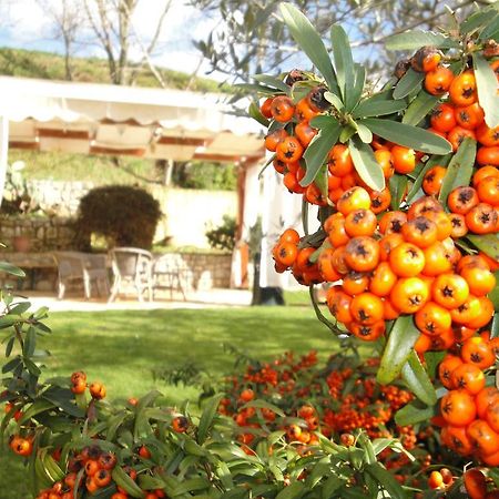 Отель Agriturismo Le Valli Acuto Экстерьер фото